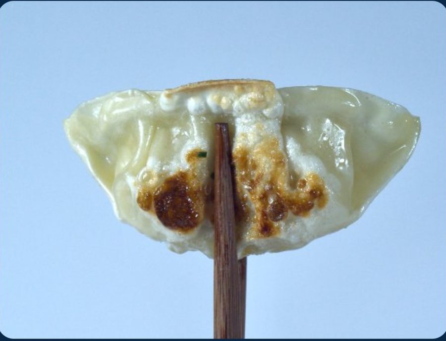 Gyozas YOKAI